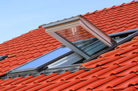 Meeting Green roof window